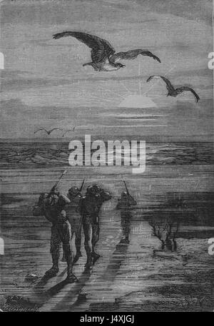 Dieses Bild stammt von „Vingt Mille Lieues Sous les Mers“, einem berühmten Science-Fiction-Roman von Jules Verne. Es enthält eine klassische Illustration aus dem Buch, die Unterwasserabenteuer im 19. Jahrhundert darstellt. Stockfoto