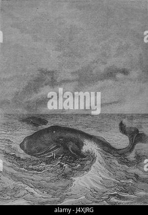 Dies bezieht sich auf ein Originalwerk aus dem Buch „Vingt Mille Lieues Sous Les Mers“ von Jules Verne, einer frühen Ausgabe des Romans „Twenty Twenty Thousand Leagues Unthe Sea“. Stockfoto