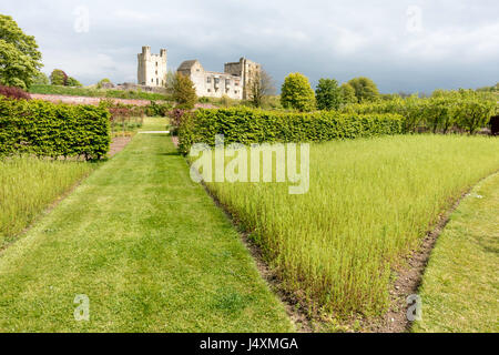 Helmsley Castle mit Blick auf den Helmsley Walled Garden mit einem neuen Demo Kornblume Wiese Einpflanzen Stockfoto