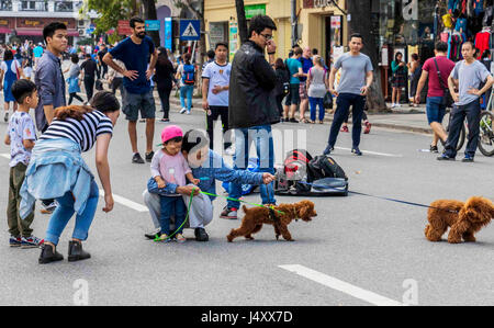 Straßenleben in Hanoi im Norden Vietnams Stockfoto