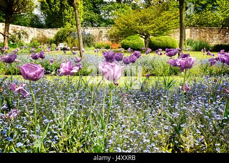 UK Groombridge, Tunbridge Wells, East Sussex Penns in den Felsen. eine frühe 18. Jahrhundert Haus und Garten, gebaut für die Familie von William Penn.. Stockfoto