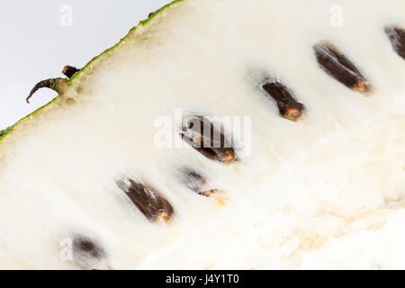 Soursop (Annona Muricata) isoliert auf weißem Hintergrund Stockfoto