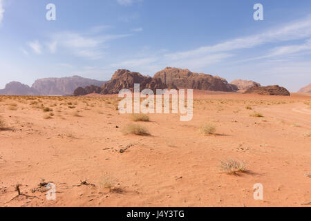 Große Weite der Wüste Wadi Rum mit orangefarbenen Sand und Rocky Mountains in der Ferne. Blauer Himmel mit dünnen Wolken ist oben. Stockfoto