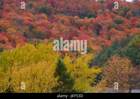 Verlieben Sie sich in Muskoka Stockfoto