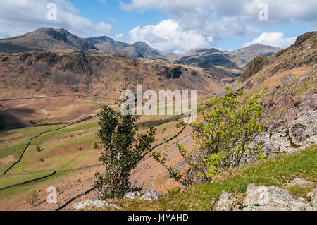 Ansicht des Bereichs Scafell im englischen Lake District von Hardknott Pass auf einem schönen klaren Frühlingstag bei teilweise bewölktem Himmel gesehen. Stockfoto