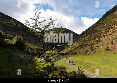 Kardieren Mill Valley, Shropshire im Vereinigten Königreich Stockfoto