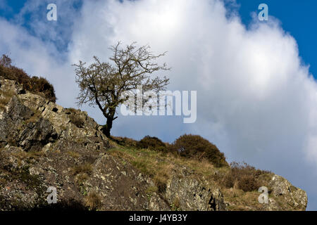 Kardieren Mill Valley, Shropshire im Vereinigten Königreich Stockfoto
