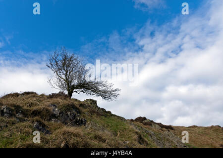 Kardieren Mill Valley, Shropshire im Vereinigten Königreich Stockfoto