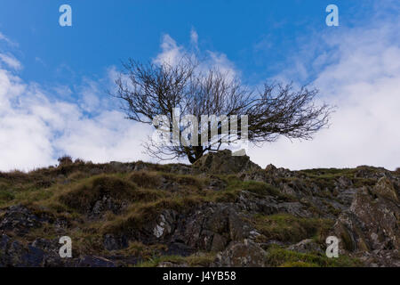 Kardieren Mill Valley, Shropshire im Vereinigten Königreich Stockfoto