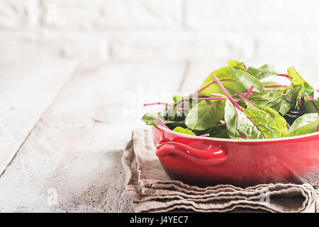 Frische Mangoldblätter Stockfoto