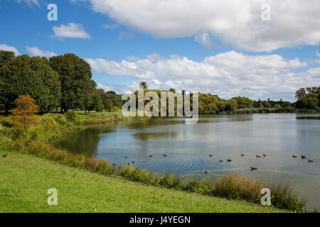 Centennial Parklands in östlichen Vororten Sydneys, New-South.Wales, Australien Stockfoto