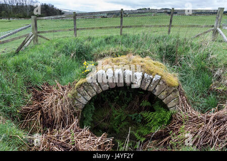 Tresorraum Arch, Aesica römischen Fort (große Chesters) Hadrianswall, Haltwhistle, Northumberland, Großbritannien Stockfoto