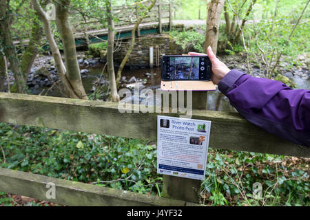 Fluss Foto Wachposten mit Kamera bereit, ein Schuss, Haltwhistle Burn, Northumberland UK Stockfoto