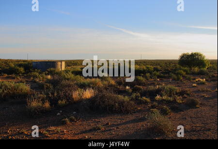 Einen kleinen Bauernhof Damm in der kargen Vegetation der Naturraum der großen Karoo in Südafrika Stockfoto