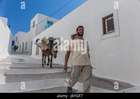 Insel Amorgos, Griechenland - Oktober 2015: Lokalen griechischen Mann mit einem Esel mit Wassertanks gehen entlang der Straße von Amorgos Stockfoto