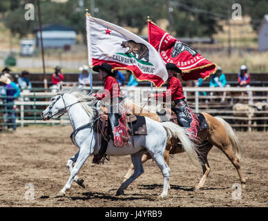 Drill Team Cowgirl reitet in die Arena an der Cottonwood-Rodeo in Kalifornien Stockfoto