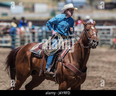 Drill Team Cowgirl reitet in die Arena an der Cottonwood-Rodeo in Kalifornien Stockfoto