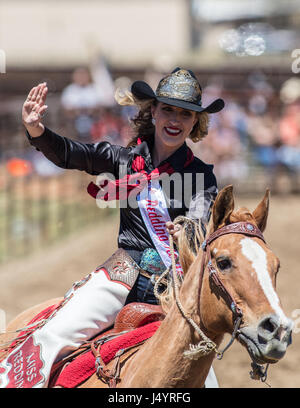 Drill Team Cowgirl reitet in die Arena an der Cottonwood-Rodeo in Kalifornien Stockfoto