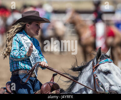 Drill Team Cowgirl reitet in die Arena an der Cottonwood-Rodeo in Kalifornien Stockfoto