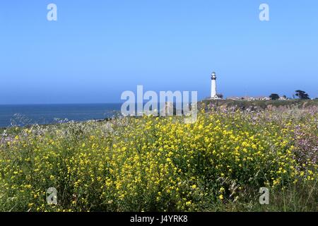 Pigeon Point Leuchtturm befindet sich auf dem Highway 1, California. Stockfoto