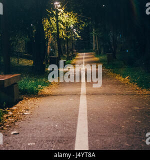Gehweg Spur Weg nachts, beleuchtete Lampe Park Gasse. Am späten Abend im Park, einsame Gasse.  walkwayalleyilluminationlampparktwilightwayautumndarkdarknes Stockfoto