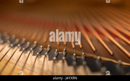 Grand Piano Brücke Stifte innerhalb der Kerben, wunde Strings attached, selektive konzentrieren. Stockfoto