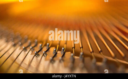 Grand Piano Brücke Stifte innerhalb der Kerben, wunde Strings attached, selektive konzentrieren. Stockfoto