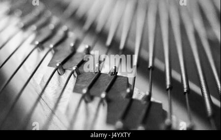 Grand Piano Brücke Stifte innerhalb der Kerben, wunde Strings attached, selektive konzentrieren. Stockfoto