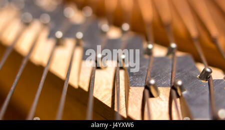 Grand Piano Brücke Stifte innerhalb der Kerben, selektive konzentrieren. Stockfoto