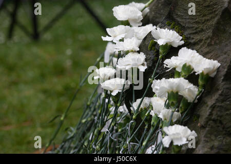 London, UK. 15. Mai 2017. Blumen vor der Kriegsdienstverweiger Stein am Tavistock Square auf Kriegsdienstverweigerung Tag gelegt. Bildnachweis: Mark Kerrison/Alamy Live-Nachrichten Stockfoto