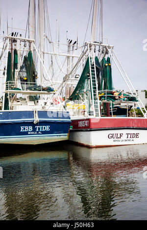 Alabama Mobile County, Bay Waterou la Batre, kommerzielle Garnelenflotte, Fischerboot, angedockt, Dock, Pier, Wirtschaft, Fischwirtschaft, Küste des Golfs von Mexiko, Besucher Stockfoto