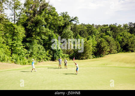 Monroeville Alabama, Vanity Fair Golf und Tennis Club, vierer, Mann Männer Erwachsene Erwachsene, Männer, flagstick, Putting Green, Reaktion, Sport, Erholung, Hobby, ga Stockfoto