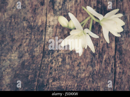 Arzneimittel moringa Blumen in Holz Oberfläche Stockfoto