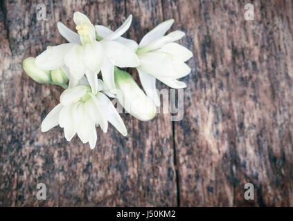 Arzneimittel moringa Blumen in Holz Oberfläche Stockfoto