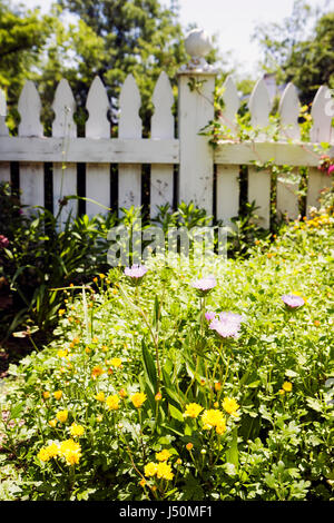 Alabama Butler County, Greenville, Blumenblumen, Blumenblumen, Garten, weißer Pfostenzaun, Besucher reisen Reise touristischer Tourismus Wahrzeichen landm Stockfoto