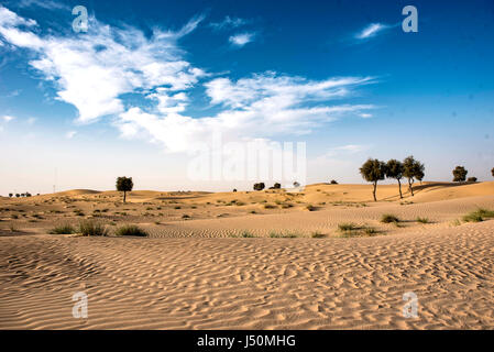 Wunderschöne Aussicht auf Seen und der Wüste in den Vereinigten Arabischen Emiraten Stockfoto