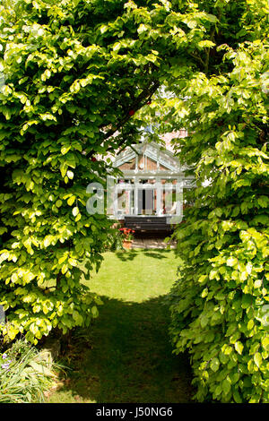 Fernblick über einen Wintergarten auf einer inländischen Wohnung gesehen durch den Torbogen einer Blutbuche Hecke an einem sonnigen Frühlingstag. Stockfoto