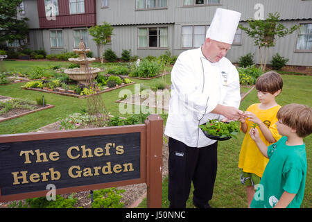 Alabama Baldwin County, Point Clear, Grand Hotel Marriott Resort, Hotel Hotels Unterkunft Inn Motel Motels, Chef's Herb Garden, Schild, Logo, Mann Männer männlich Erwachsene ein Stockfoto