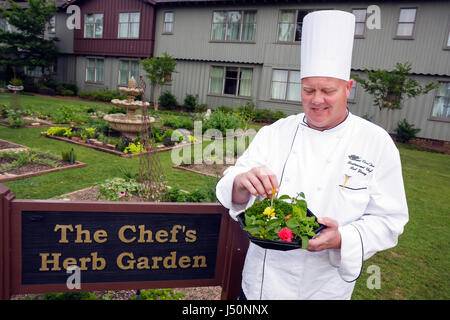 Alabama Point Clear, Grand Hotel Marriott Resort, Hotel, Chef's Herb Garden, Schild, Mann Männer Erwachsene Erwachsene, Kochen, Essen, Bio, AL080523037 Stockfoto