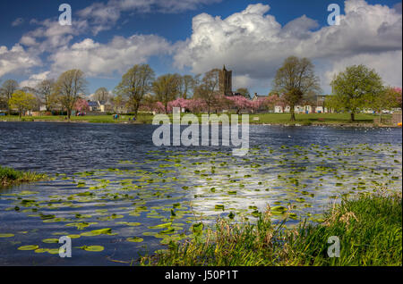 HDR-Bild mit Blick auf Carlingwark Loch Fullarton und Cherry Blossom in Lochside Park, Castle Douglas, Dumfries and Galloway, Schottland. Wasser L Stockfoto