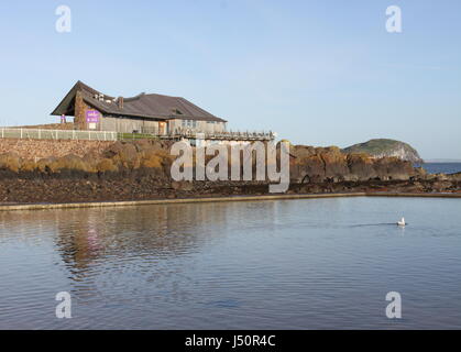 Schottische Seabird Centre, North Berwick, East Lothian, Schottland Oktober 2009 Stockfoto