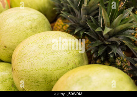 Wassermelonen und Ananas Stockfoto