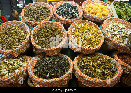 Pilze zum Verkauf an La Boqueria-Markt in Barcelona Spanien ES EU Stockfoto