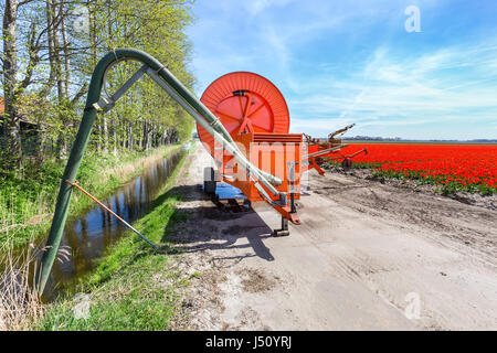 Spritzanlage auf unbefestigten Straße in der Nähe von Graben und rote Tulpen Feld Stockfoto