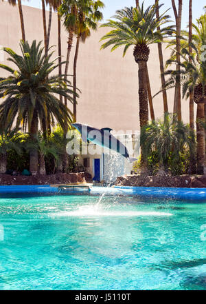 Osbourne die Dolfin springt aus dem Wasser auf Comand von seinem Trainer im Mirage, Secret Garden in Las Vegas, Nevada. Stockfoto