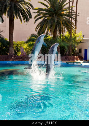 Zwei Delfinen springen aus dem Wasser unisono auf Comand von einem Trainer im Mirage, Secret Garden in Las Vegas, Nevada. Stockfoto