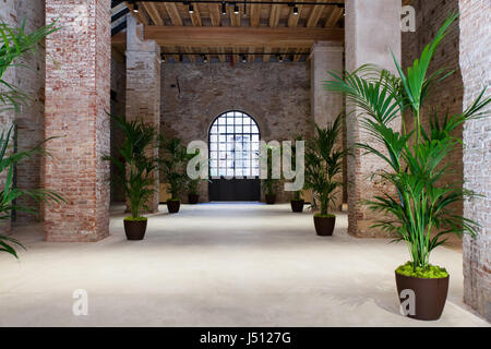 Ansicht von Pflanzen in einem großen Zimmer in Venedig Stockfoto