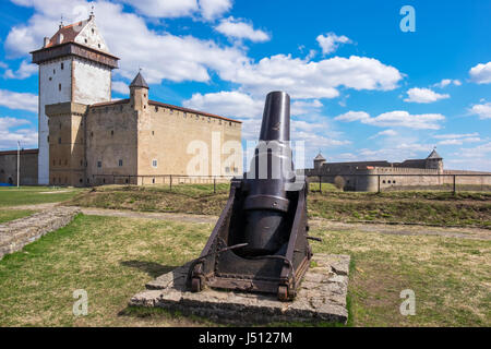 Alte Kanone und Hermann Burg in Narva Festung. Estland, Europa. Russische Festung Ivangorod im Abstand Stockfoto