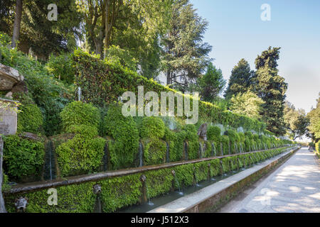 Die hundert Brunnen, Gärten, Villa d ' Este, Tivoli, in der Nähe von Rom, Italien Stockfoto