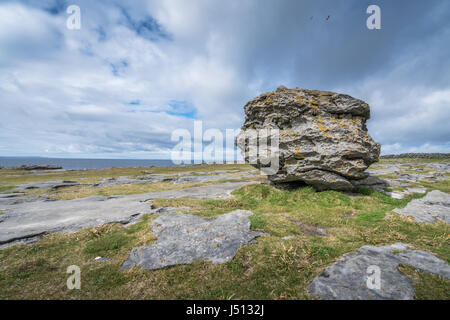 Riesigen Kalkstein eiszeitlichen Findling auf den Klippen in Doolins Bay, The Burren, County Clare, Irland Stockfoto